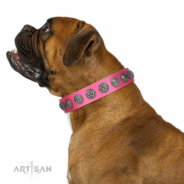 Extraordinary walking pink leather Boxer collar with
chic decorations