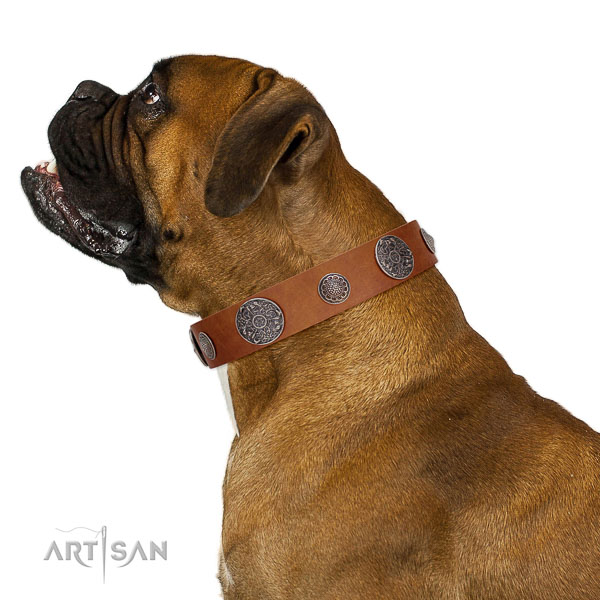 Quality leather Boxer collar created to last