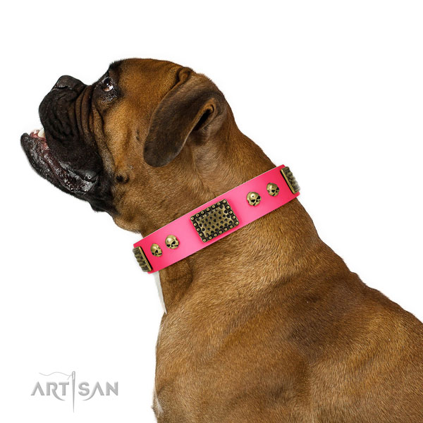 Boxer basic training dog collar of top quality natural leather