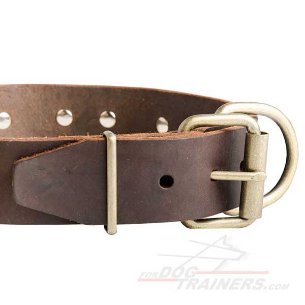 Brass Buckle on Leather Dog Collar with Durable Fittings