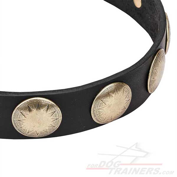 Brass Circles Riveted to Leather Dog Collar