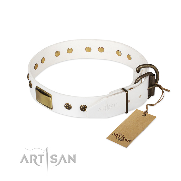 Brass Decorative Parts on White Dog Collar