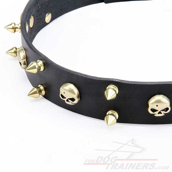 Brass Spikes and Skulls of Canine Leather Collar