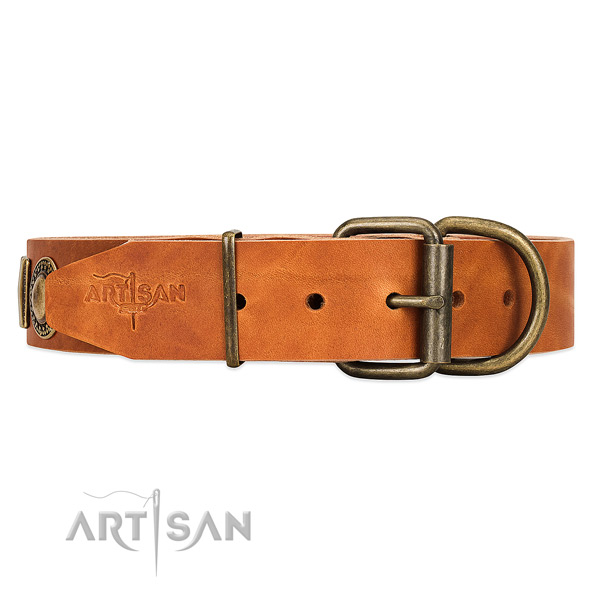 FDT Artisan Leather Dog Collar with Reliable Hardware