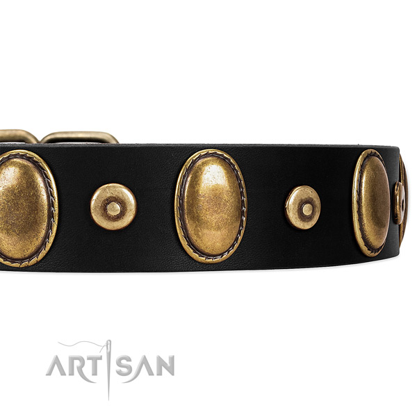 Bronze-Like Plated Medallions and Studs on Black Leather
Dog Collar
