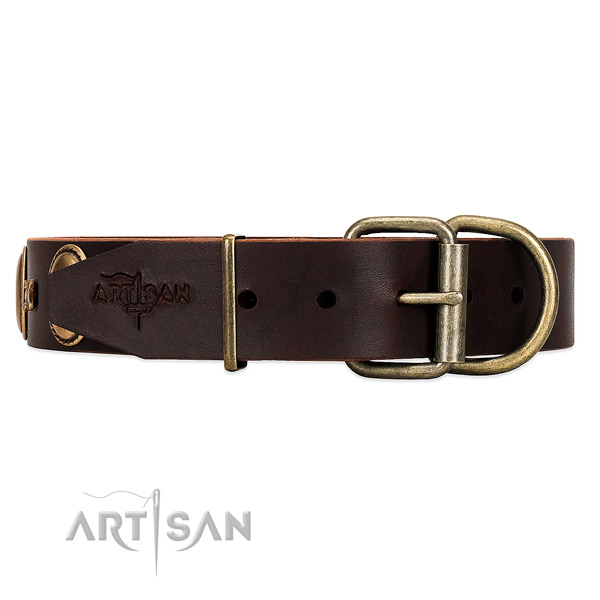 Fancy Leather Dog Collar with Sturdy Fittings with Rust-proof Covering