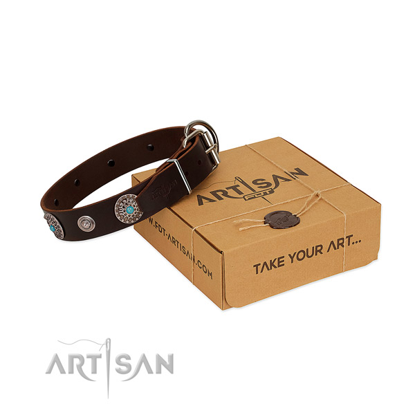 Decorated brown dog collar of high-quality leather