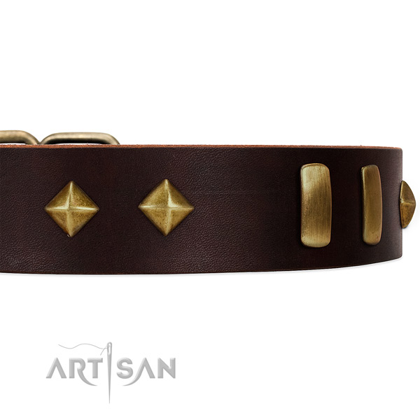 Old Bronze-like 
plates and studs set in fashionable leather dog collar