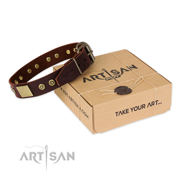 Brown leather dog collar for daily activities