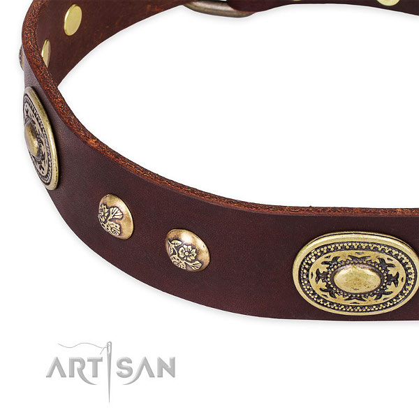 Brown leather dog collar for fashion walking