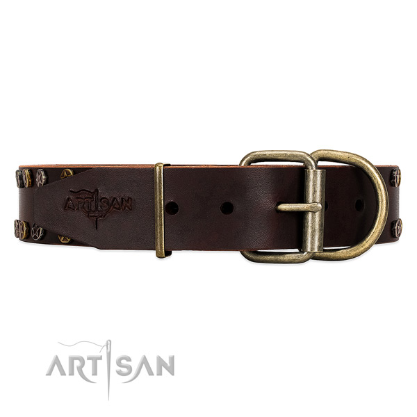 Studded leather dog collar with super reliable buckle