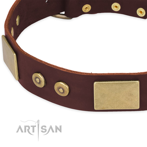 Sturdy brown leather dog collar