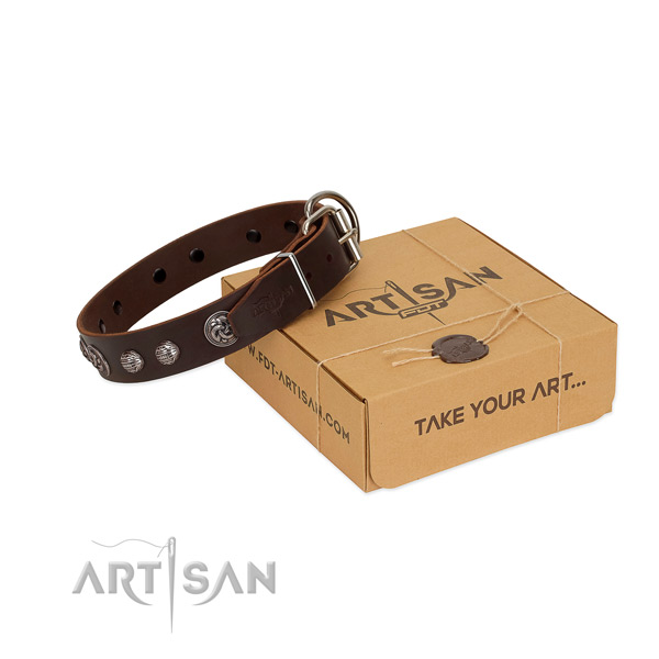 Brown genuine leather dog collar with amazing
decorations