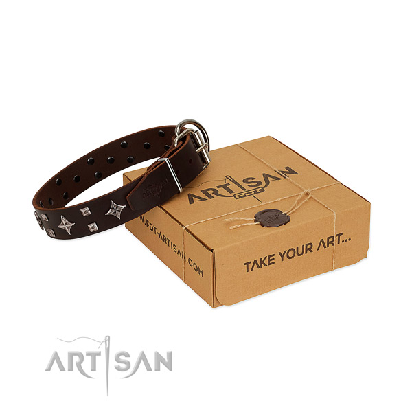 Fantastic brown leather dog collar for pleasant daily
wear