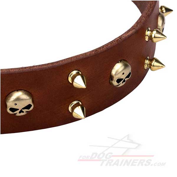 Decorated spikes and skulls brown leather collar