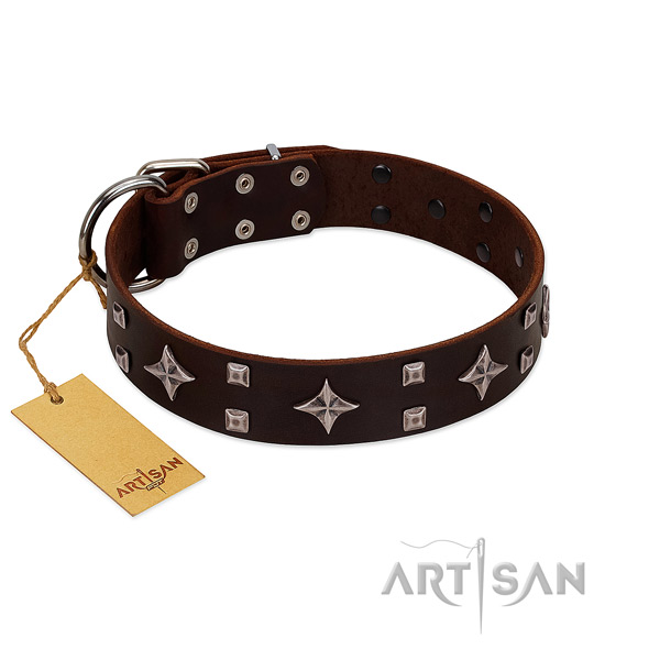 FDT Artisan leather dog collar to pamper your pooch