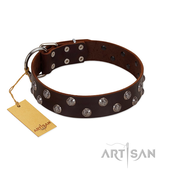 Handcrafted FDT Artisan leather dog collar