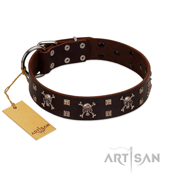 Modish FDT Artisan leather dog collar
