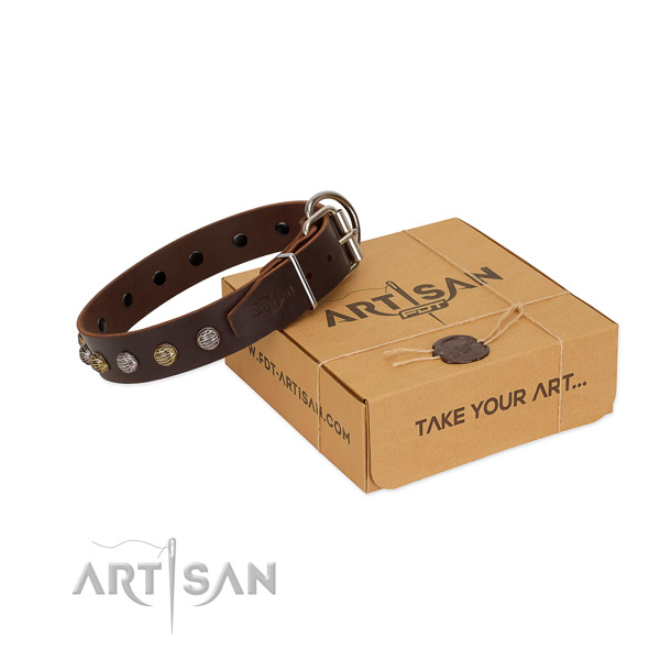 Trendy Dog Collar of Genuine Leather Decorated with
Studs