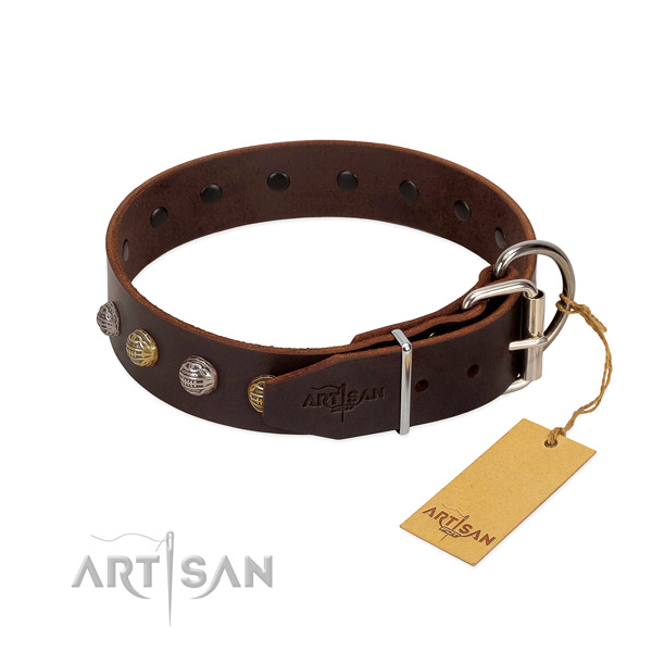 Walking Genuine Leather Dog Collar for Better Control