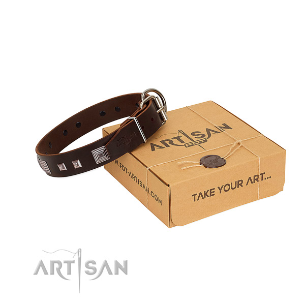 FDT Artisan leather dog collar for better control