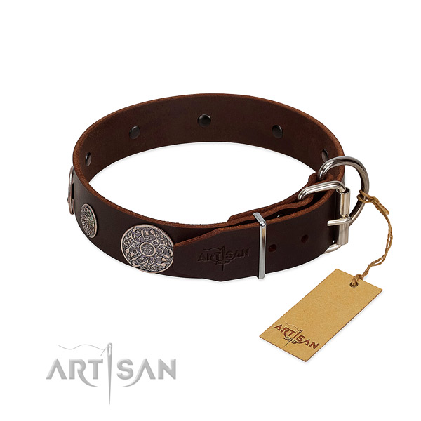 Fabulous leather dog collar with sturdy fittings