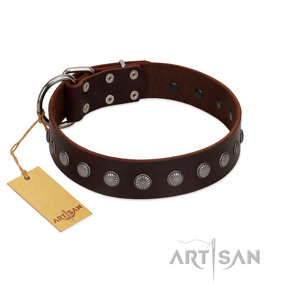 Catchy FDT Artisan leather dog collar for daily use