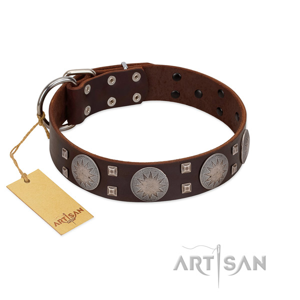 Reliable FDT Artisan leather dog collar for ideal walks