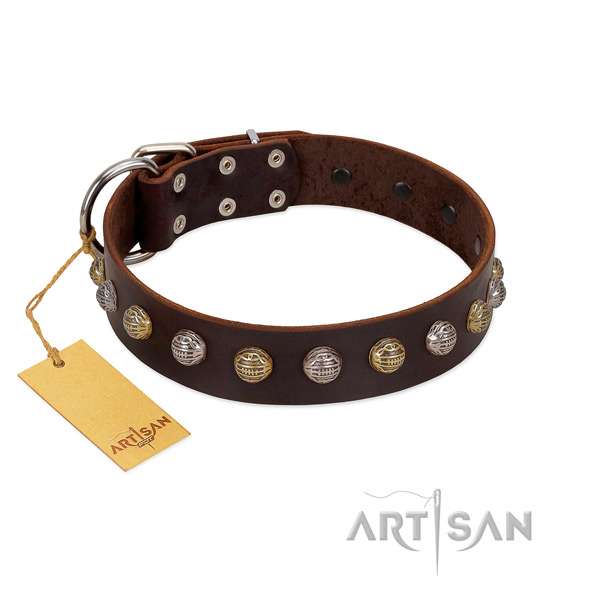 Trendy Dog Collar Decorated with Fashionable Oval Plates
and Tiles