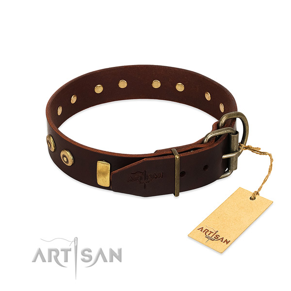 Brown dog collar that is easy to adjust