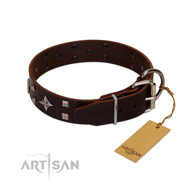 Gentle leather dog collar for daily wear