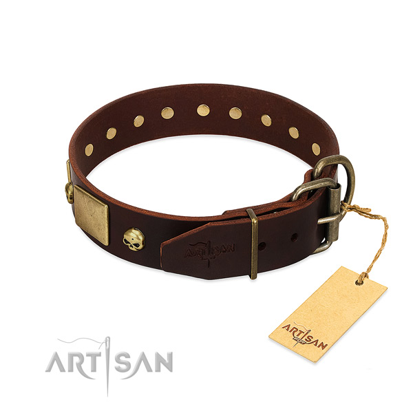 Brown Dog Collar for Pleasant Pastime