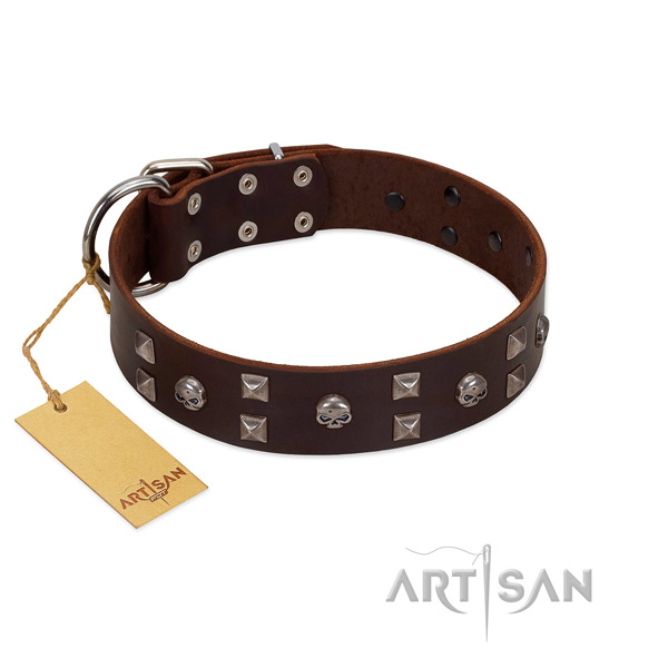 Reliable FDT Artisan leather dog collar for better
handling