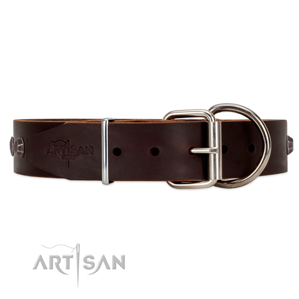 Leather dog collar with chrome plated steel hardware