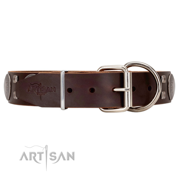 Leather dog collar with good silver-like hardware