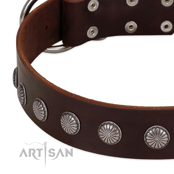 Brown leather dog collar with reliable decorations