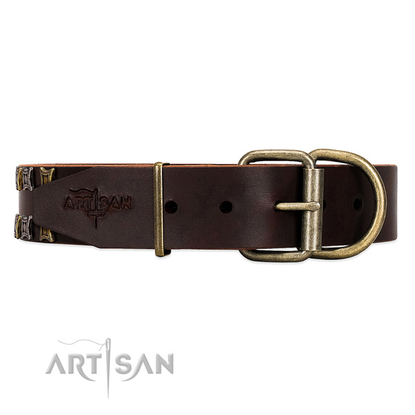 Brown dog collar with old bronze-like hardware