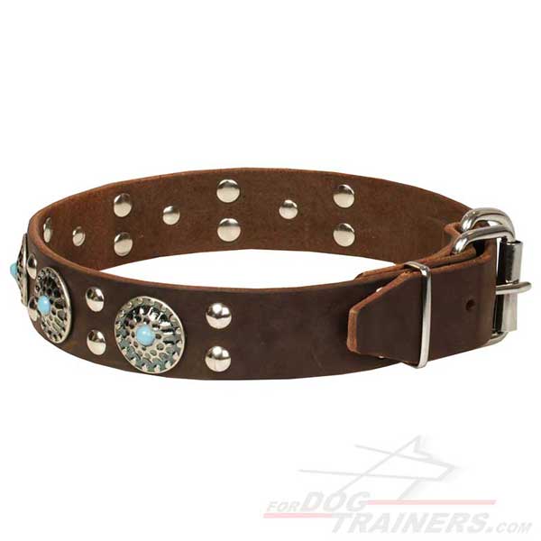 Nickel-plated Fittings on Brown Leather Dog Collar