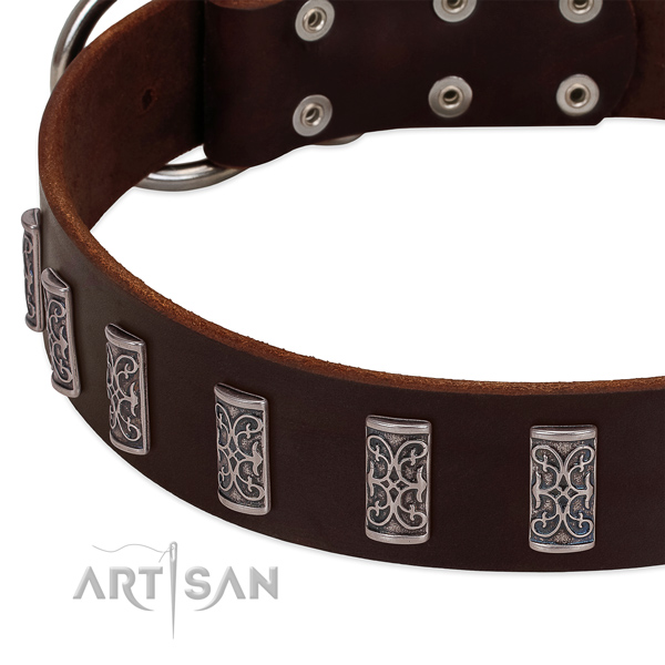 Brown leather dog collar with vintage decorations