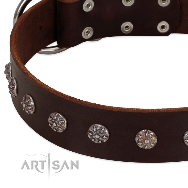 Brown leather dog collar with flower decorations