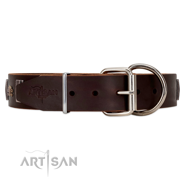 Genuine leather dog collar with riveted fittings