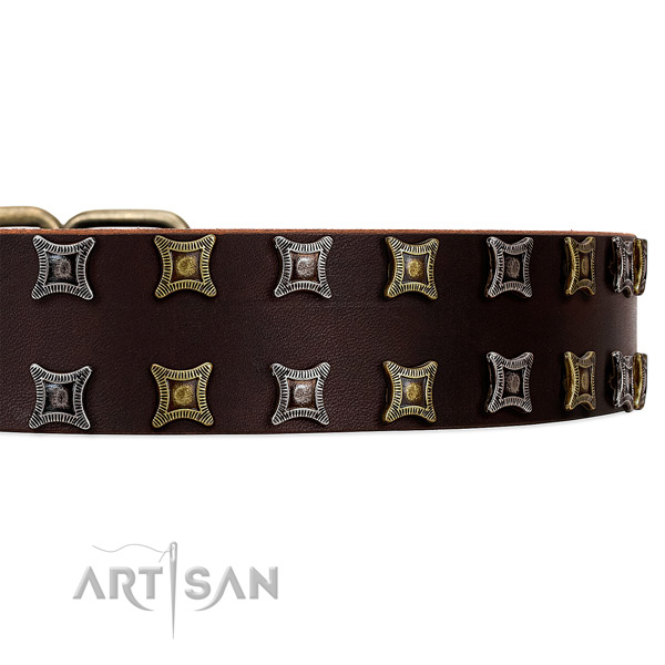 Amazing brown leather collar with two rows of gorgeous
studs
