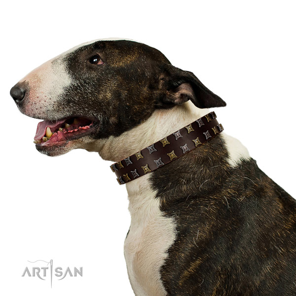 Deluxe Bull Terrier Artisan brown leather collar for
elegant look
