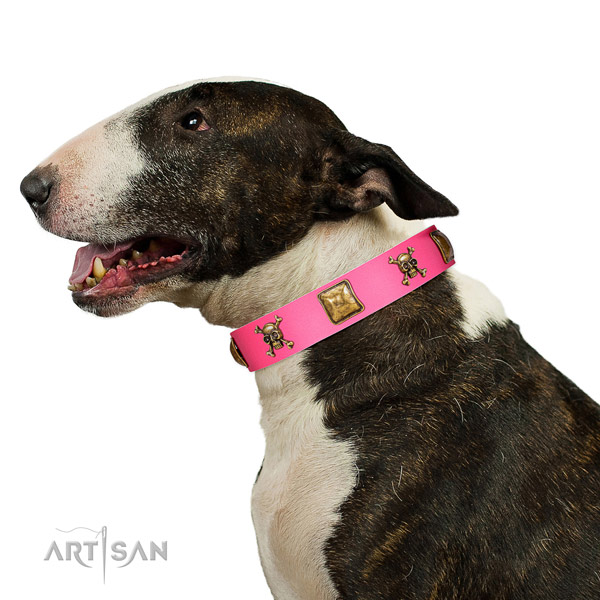 Bright pink leather Bull Terrier collar has amazing look