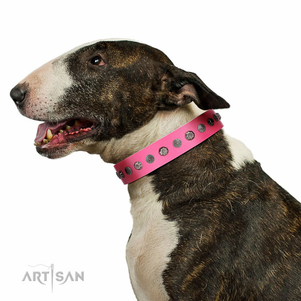 Extraordinary walking pink leather Bull-Terrier collar with
chic decorations