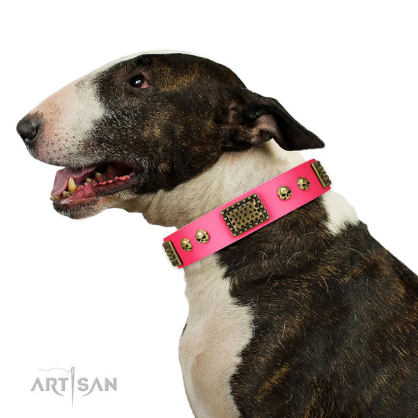 Bull Terrier daily use dog collar of best quality natural leather