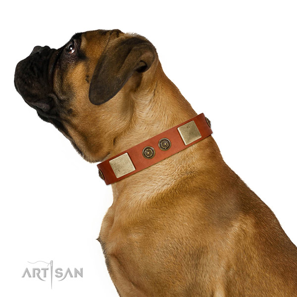 Smooth Leather Bullmastiff Collar with Stylish Adornments