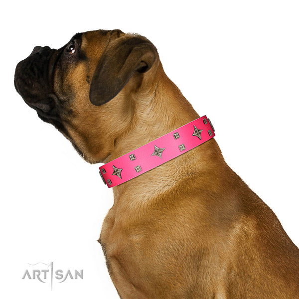 Natural leather Bullmastiff collar for better fit