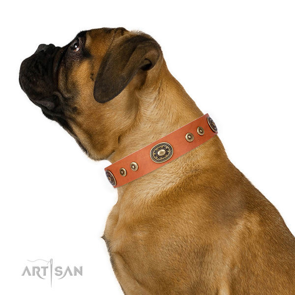 Bullmastiff inimitable genuine leather dog collar with studs