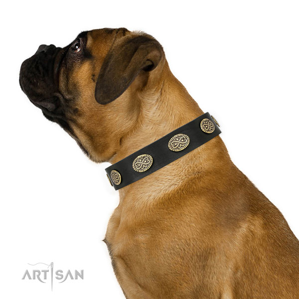 Bullmastiff everyday walking dog collar of extraordinary quality leather